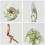 عطر ادکلن کشمر میست کالکترز ادیشن دونا کارن - Cashmere Mist Collector's Edition Donna Karan - بررسی، قیمت و خرید
