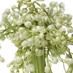 عطر ادکلن کشمر میست کالکترز ادیشن دونا کارن - Cashmere Mist Collector's Edition Donna Karan - بررسی، قیمت و خرید