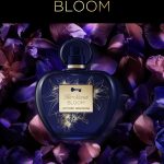 عطر ادکلن هر سکرت بلوم آنتونیو باندراس - Her Secret Bloom Antonio Banderas - بررسی، قیمت و خرید
