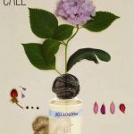 عطر ادکلن ساتوسوپرا کاله فراگرنز دوتوره - Sottosopra Cale Fragranze d’Autore - بررسی، قیمت و خرید