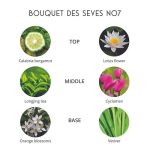 عطر ادکلن بوکه ده سِو پرفیوم د فلوویل - Bouquet Des Seves Parfums de Folleville - بررسی، قیمت و خرید
