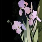 عطر ادکلن هانگ کنگ گاردن آوا لوکس - Hong Kong Garden Ava Luxe - بررسی، قیمت و خرید