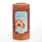 عطر ادکلن تبتن مونتن تمپل پاسیفیکا - Tibetan Mountain Temple Pacifica - بررسی، قیمت و خرید