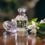 عطر ادکلن یاسمین نو - Jasmin NOU - بررسی، قیمت و خرید