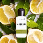 عطر ادکلن برگاموتو ایتالیا د مرچنت آو ونیز - Bergamotto Italia The Merchant of Venice - بررسی، قیمت و خرید