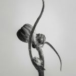 عطر ادکلن اکسپندد کربن ایتِر - Expanded Carbon Aether - بررسی، قیمت و خرید