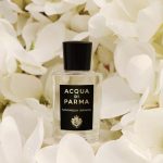 عطر ادکلن مگنولیا اینفینیتا آکوا دی پارما - Magnolia Infinita Acqua di Parma - بررسی، قیمت و خرید
