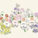 عطر ادکلن کلیر هانی‌ساکل زارا - Clear Honeysuckle Zara - بررسی، قیمت و خرید