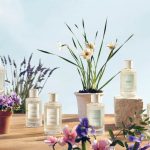 عطر ادکلن سانتالوم کلوئه - Santalum Chloé - بررسی، قیمت و خرید