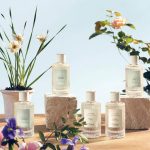 عطر ادکلن سانتالوم کلوئه - Santalum Chloé - بررسی، قیمت و خرید