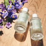 عطر ادکلن سانتالوم کلوئه - Santalum Chloé - بررسی، قیمت و خرید