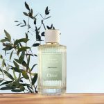 عطر ادکلن سانتالوم کلوئه - Santalum Chloé - بررسی، قیمت و خرید