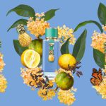 عطر ادکلن مد وُرلْد کارولینا هررا - Mad World Carolina Herrera - بررسی، قیمت و خرید