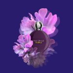 عطر ادکلن پرپل مکس فیلیپ - Purple Max Philip - بررسی، قیمت و خرید