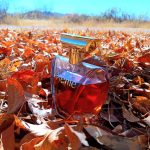 عطر ادکلن پوام لانکوم - Poeme Lancôme - بررسی، قیمت و خرید