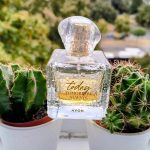 عطر ادکلن تودِی ایوون - Today Avon - بررسی، قیمت و خرید