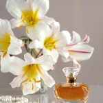 عطر ادکلن پرینسس کندی اَلِن بِرِی - Princesse Candy Alan Bray - بررسی، قیمت و خرید