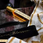 عطر ادکلن آکیلاریا بلاسوم اریج له دوری - Aquilaria Blossom Areej Le Doré - بررسی، قیمت و خرید