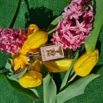 عطر ادکلن سیکرت جولی اوریزا ال. لگراند - Secret Joly Oriza L. Legrand - بررسی، قیمت و خرید