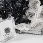 عطر ادکلن پورترایال من آمواژ - Portrayal Man Amouage - بررسی، قیمت و خرید