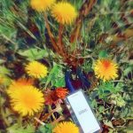 عطر ادکلن فلور د پچولی زارا - Fleur de Patchouli Zara - بررسی، قیمت و خرید