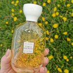 عطر ادکلن کور دزانژ اتلیه دز اورس - Choeur Des Anges Atelier des Ors - بررسی، قیمت و خرید