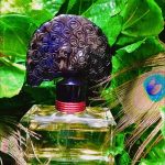 عطر ادکلن نایت آو فَنسی آنا سوی - Night of Fancy Anna Sui - بررسی، قیمت و خرید