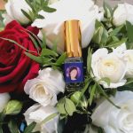 عطر ادکلن مودیلیانی سیوردیا پرفیومز - Modigliani Siordia Parfums - بررسی، قیمت و خرید