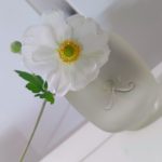 عطر ادکلن کلون رز اوشن له پارفم دو روزین - Cologne Rose Ocean Les Parfums de Rosine - بررسی، قیمت و خرید