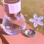 عطر ادکلن بار مگنولیا ویکتوریا سیکرت - Bare Magnolia Victoria's Secret - بررسی، قیمت و خرید