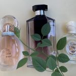 عطر ادکلن رز گلدیا بلوسوم دیلایت بولگاری - Rose Goldea Blossom Delight Bvlgari - بررسی، قیمت و خرید