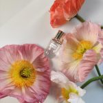 عطر ادکلن دریم داسک اِستی لادر - Dream Dusk Estée Lauder - بررسی، قیمت و خرید