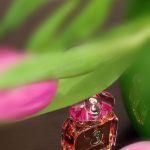 عطر ادکلن مای سنت ترساردی - My Scent Trussardi - بررسی، قیمت و خرید