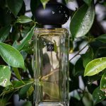 عطر ادکلن گولدن نیدل تی جو مالون لاندن - Golden Needle Tea Jo Malone London - بررسی، قیمت و خرید