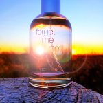 عطر ادکلن فورگت می نات ویکتورینوکس سوئیس آرمی - Forget Me Not Victorinox Swiss Army - بررسی، قیمت و خرید