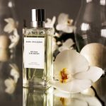عطر ادکلن اینتیمت وایت فلاورز آنجل شلسر - Intimate White Flowers Angel Schlesser - بررسی، قیمت و خرید