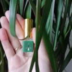 عطر ادکلن هاوس آو دِ روز سیوردیا پرفیومز - House Of The Rose Siordia Parfums - بررسی، قیمت و خرید