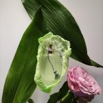 عطر ادکلن مون امی لا روز له پارفوم دو روزین - Mon Amie La Rose Les Parfums de Rosine - بررسی، قیمت و خرید