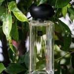 عطر ادکلن اولانگ تی جو مالون لندن - Oolong Tea Jo Malone London - بررسی، قیمت و خرید