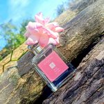 عطر ادکلن رز بلش کلن جو ملون لندن - Rose Blush Cologne (2023) Jo Malone London - بررسی، قیمت و خرید