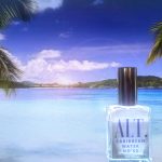 عطر ادکلن کریبین واتر آلت فراگرنسز - Caribbean Water ALT. Fragrances - بررسی، قیمت و خرید