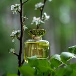 عطر ادکلن بیوتیفول ابسولو استی لودر - Beautiful Absolu Estée Lauder - بررسی، قیمت و خرید