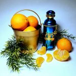 عطر ادکلن مندارین سلطان الکساندر جی - Mandarine Sultane Alexandre.J - بررسی، قیمت و خرید