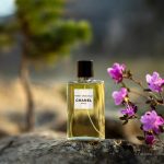 عطر ادکلن پاریس دوویل شانل - Paris – Deauville Chanel - بررسی، قیمت و خرید