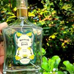 عطر ادکلن لیمو تاهیتی و نرولی گرانادو - Limão Taiti & Neroli Granado - بررسی، قیمت و خرید