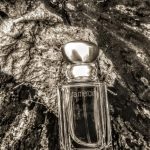 عطر ادکلن امبر پشن لورا مرسیر - Ambre Passion Laura Mercier - بررسی، قیمت و خرید
