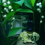 عطر ادکلن سوزوران تسوکی نو تومو - Suzuran Tsuki No Tomo - بررسی، قیمت و خرید