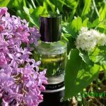 عطر ادکلن توتالی وایت صد و بیست و شش پغله موا دو پغفوم - Totally White 126 Parle Moi de Parfum - بررسی، قیمت و خرید