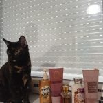 عطر ادکلن رَپت این وانیلا بث اند بادی وُرکس - Wrapped in Vanilla Bath & Body Works - بررسی، قیمت و خرید