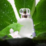 عطر ادکلن مون امی لا روز له پارفوم دو روزین - Mon Amie La Rose Les Parfums de Rosine - بررسی، قیمت و خرید